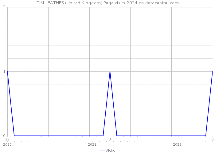 TIM LEATHES (United Kingdom) Page visits 2024 