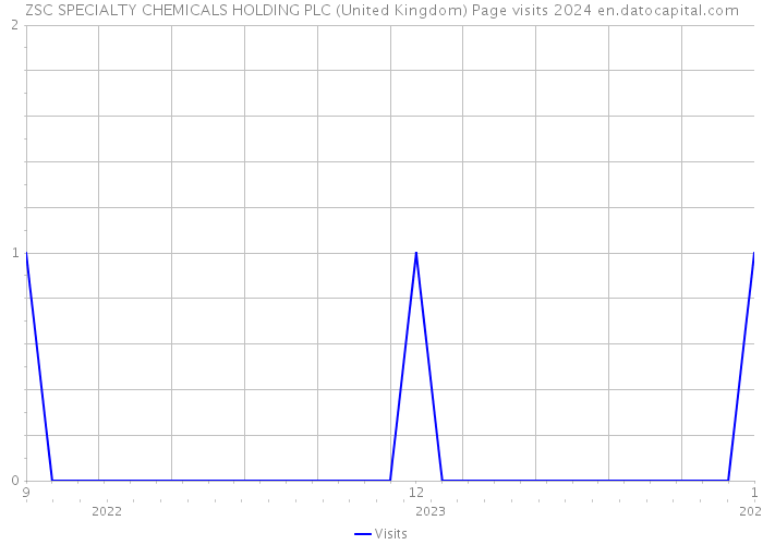 ZSC SPECIALTY CHEMICALS HOLDING PLC (United Kingdom) Page visits 2024 
