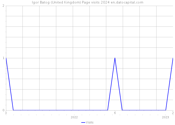 Igor Batog (United Kingdom) Page visits 2024 