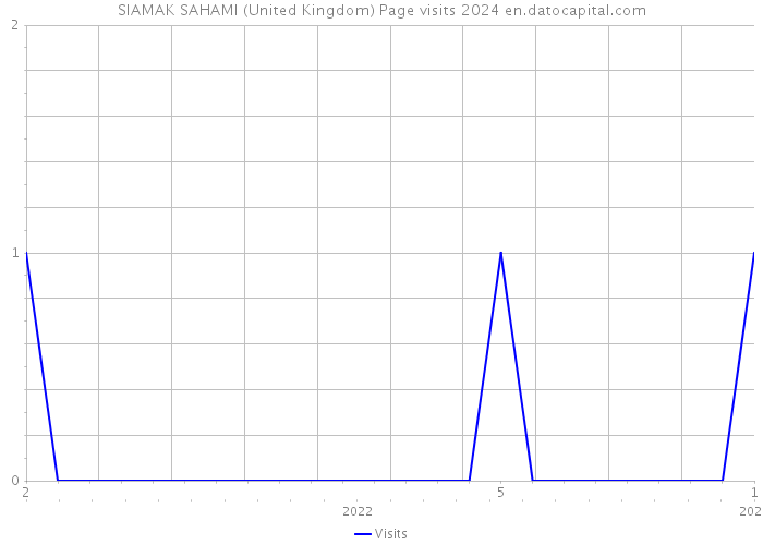 SIAMAK SAHAMI (United Kingdom) Page visits 2024 