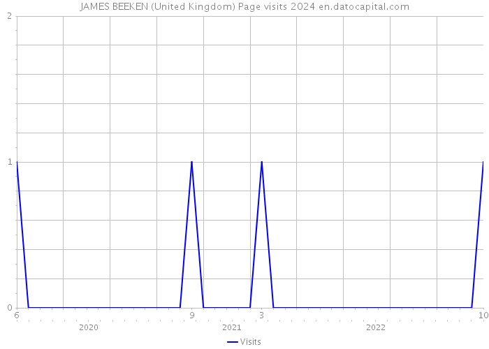 JAMES BEEKEN (United Kingdom) Page visits 2024 