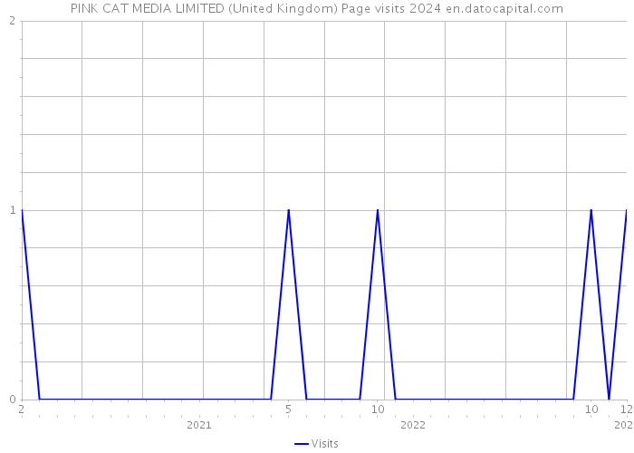 PINK CAT MEDIA LIMITED (United Kingdom) Page visits 2024 