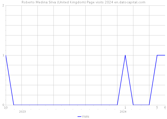 Roberto Medina Silva (United Kingdom) Page visits 2024 