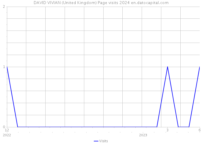 DAVID VIVIAN (United Kingdom) Page visits 2024 