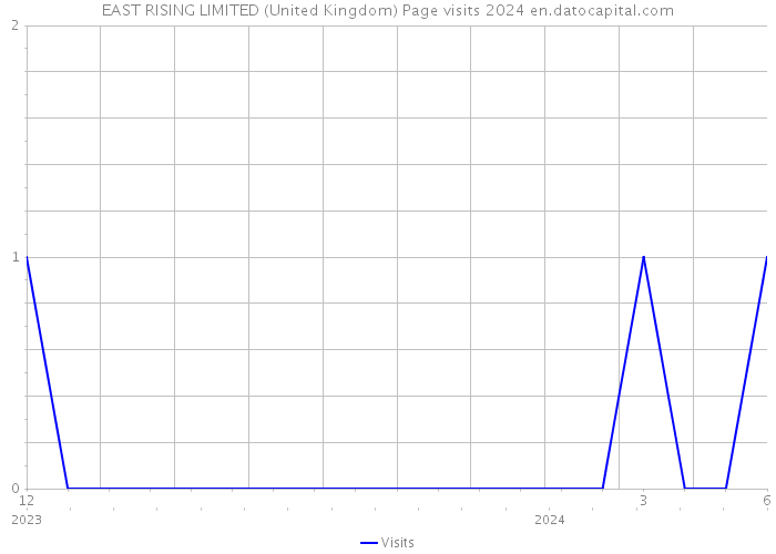 EAST RISING LIMITED (United Kingdom) Page visits 2024 