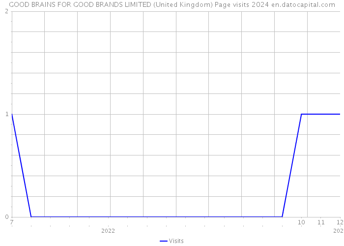 GOOD BRAINS FOR GOOD BRANDS LIMITED (United Kingdom) Page visits 2024 