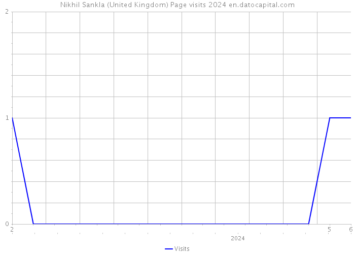 Nikhil Sankla (United Kingdom) Page visits 2024 