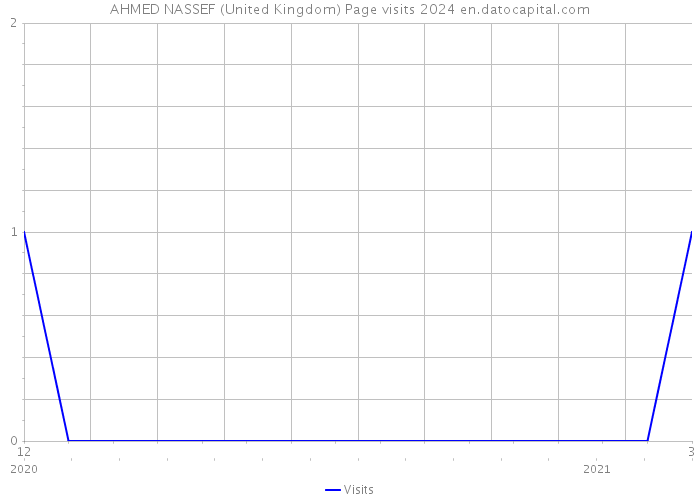 AHMED NASSEF (United Kingdom) Page visits 2024 