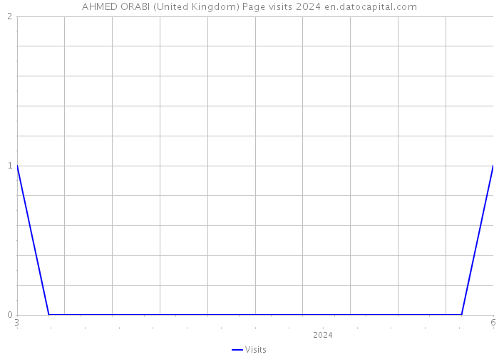 AHMED ORABI (United Kingdom) Page visits 2024 