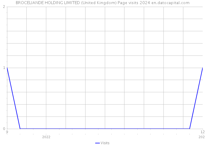 BROCELIANDE HOLDING LIMITED (United Kingdom) Page visits 2024 