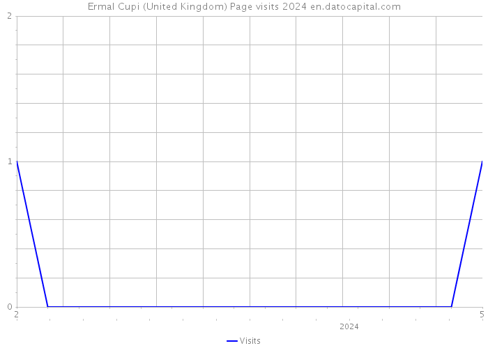 Ermal Cupi (United Kingdom) Page visits 2024 