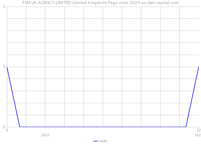 FSM UK AGENCY LIMITED (United Kingdom) Page visits 2024 