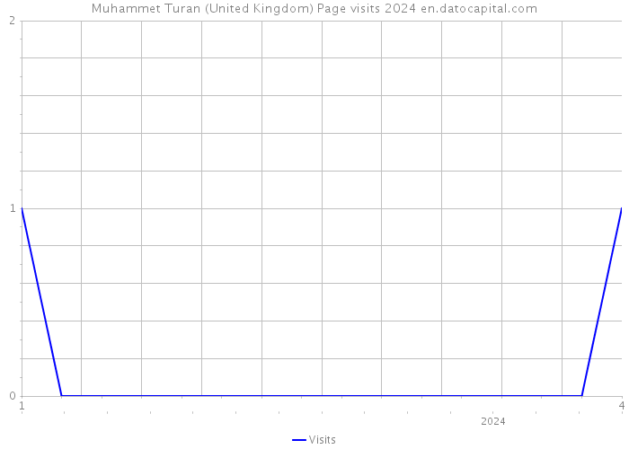 Muhammet Turan (United Kingdom) Page visits 2024 