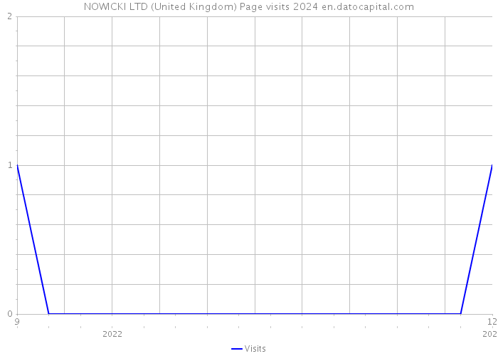 NOWICKI LTD (United Kingdom) Page visits 2024 