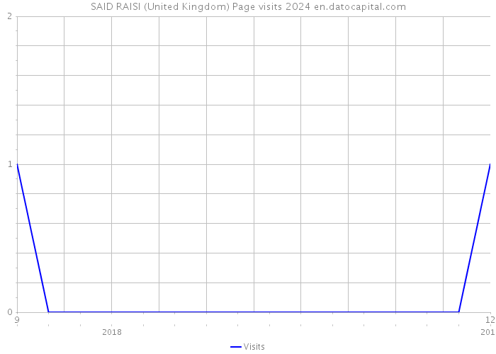 SAID RAISI (United Kingdom) Page visits 2024 