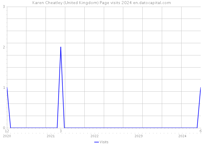 Karen Cheatley (United Kingdom) Page visits 2024 