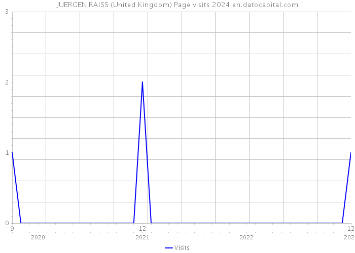 JUERGEN RAISS (United Kingdom) Page visits 2024 