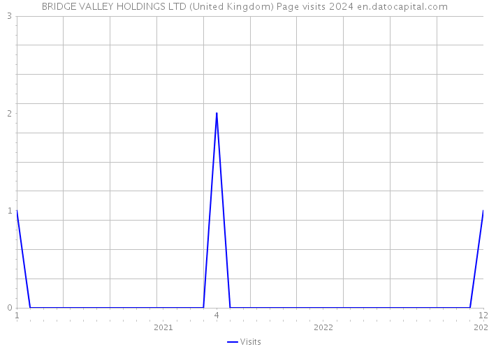 BRIDGE VALLEY HOLDINGS LTD (United Kingdom) Page visits 2024 