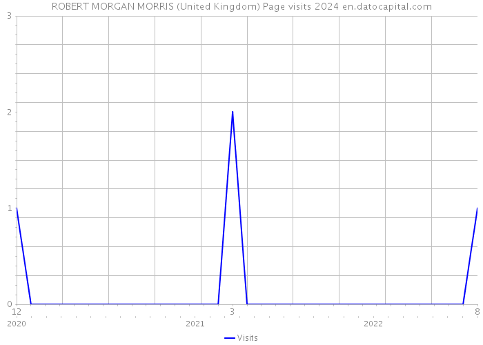 ROBERT MORGAN MORRIS (United Kingdom) Page visits 2024 
