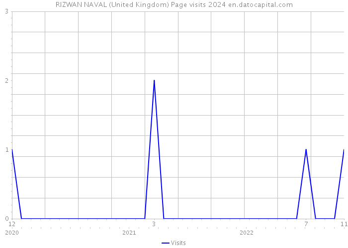 RIZWAN NAVAL (United Kingdom) Page visits 2024 