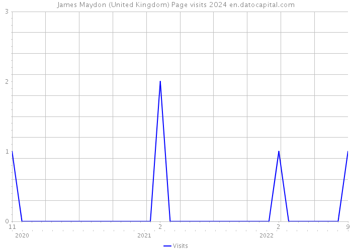 James Maydon (United Kingdom) Page visits 2024 