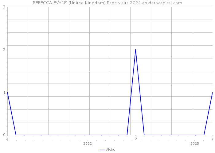 REBECCA EVANS (United Kingdom) Page visits 2024 