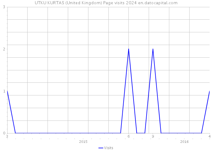 UTKU KURTAS (United Kingdom) Page visits 2024 