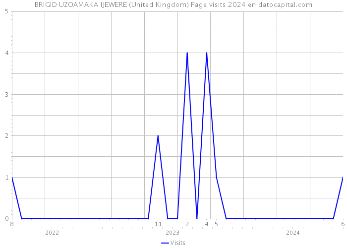 BRIGID UZOAMAKA IJEWERE (United Kingdom) Page visits 2024 
