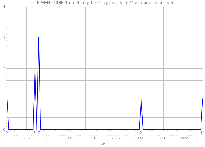 STEPHEN RODIE (United Kingdom) Page visits 2024 