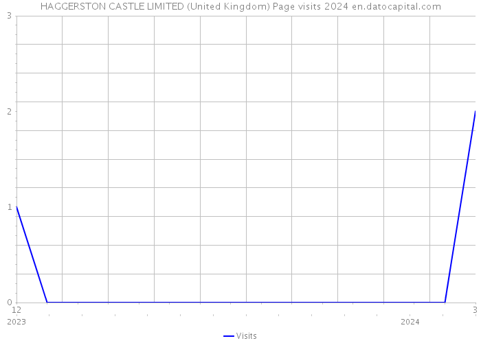 HAGGERSTON CASTLE LIMITED (United Kingdom) Page visits 2024 