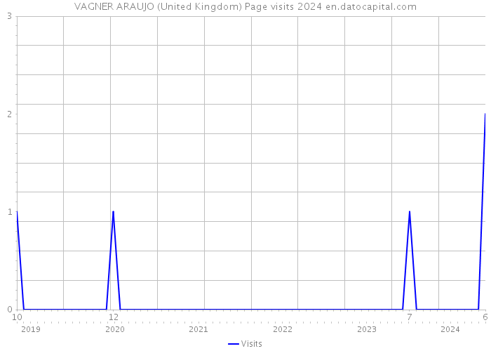 VAGNER ARAUJO (United Kingdom) Page visits 2024 