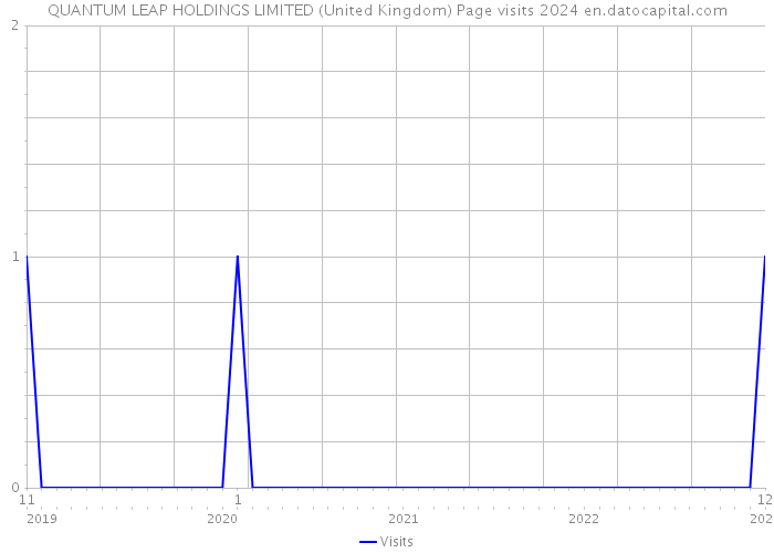 QUANTUM LEAP HOLDINGS LIMITED (United Kingdom) Page visits 2024 