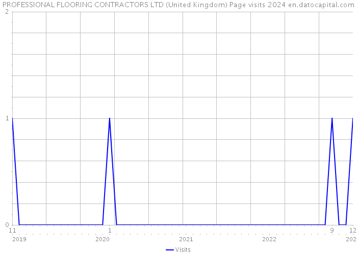 PROFESSIONAL FLOORING CONTRACTORS LTD (United Kingdom) Page visits 2024 