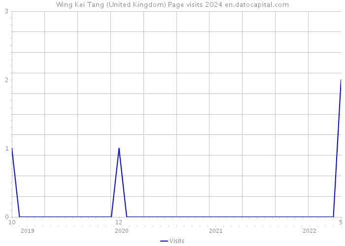 Wing Kei Tang (United Kingdom) Page visits 2024 