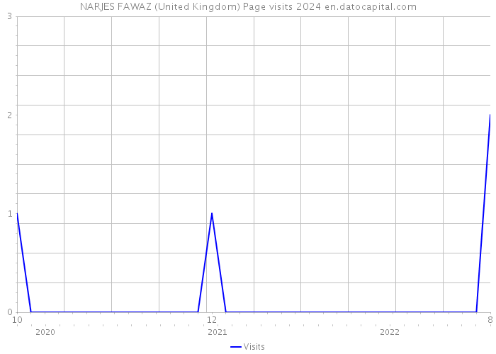 NARJES FAWAZ (United Kingdom) Page visits 2024 