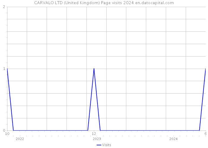 CARVALO LTD (United Kingdom) Page visits 2024 