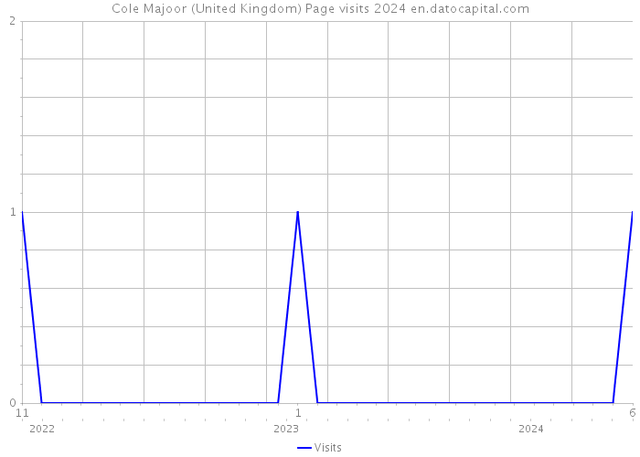 Cole Majoor (United Kingdom) Page visits 2024 