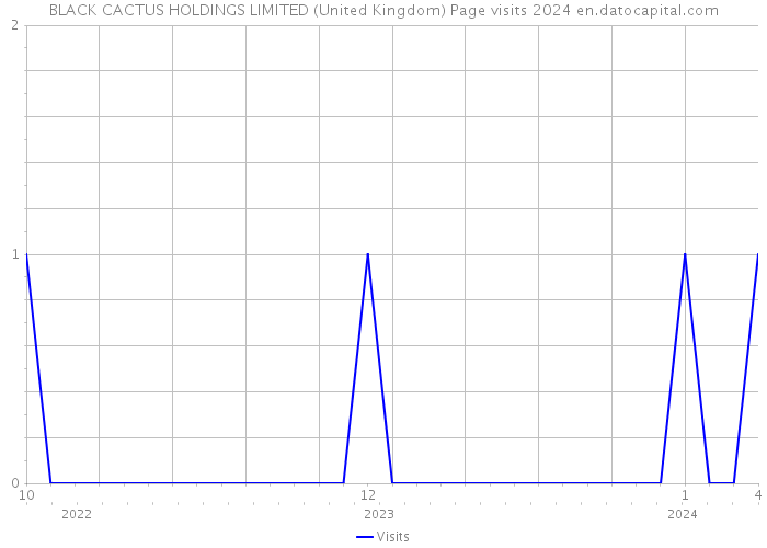 BLACK CACTUS HOLDINGS LIMITED (United Kingdom) Page visits 2024 