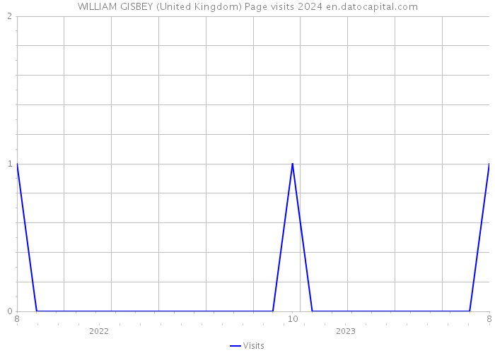 WILLIAM GISBEY (United Kingdom) Page visits 2024 