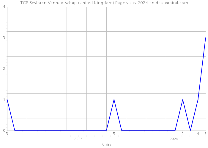 TCP Besloten Vennootschap (United Kingdom) Page visits 2024 