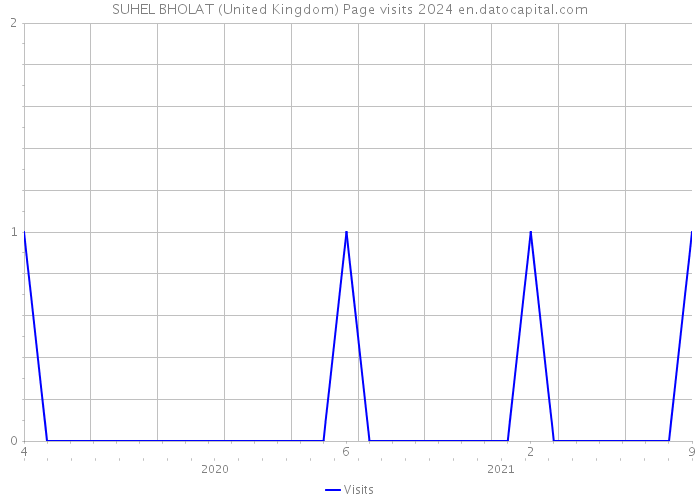 SUHEL BHOLAT (United Kingdom) Page visits 2024 