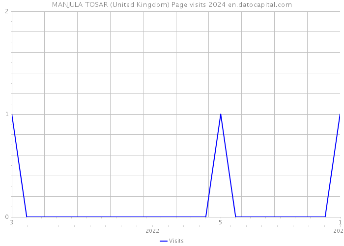 MANJULA TOSAR (United Kingdom) Page visits 2024 