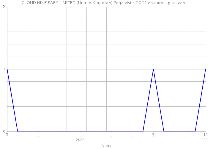 CLOUD NINE BABY LIMITED (United Kingdom) Page visits 2024 