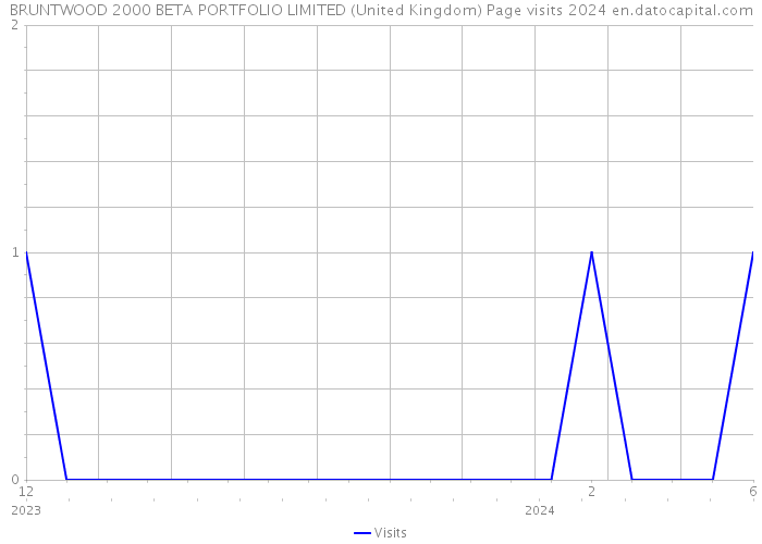 BRUNTWOOD 2000 BETA PORTFOLIO LIMITED (United Kingdom) Page visits 2024 