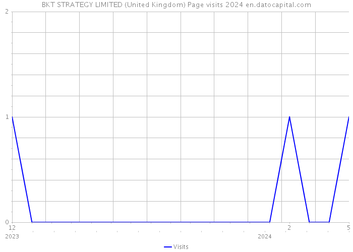 BKT STRATEGY LIMITED (United Kingdom) Page visits 2024 