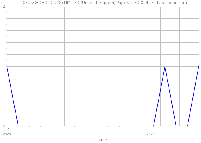 PITTSBURGH (HOLDINGS) LIMITED (United Kingdom) Page visits 2024 