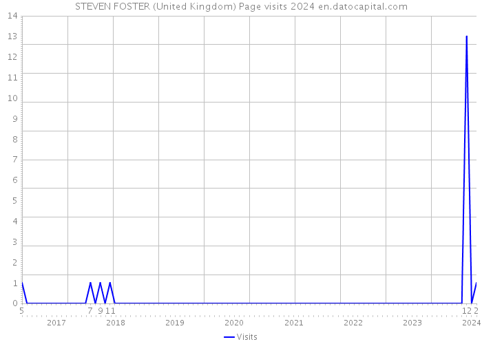 STEVEN FOSTER (United Kingdom) Page visits 2024 