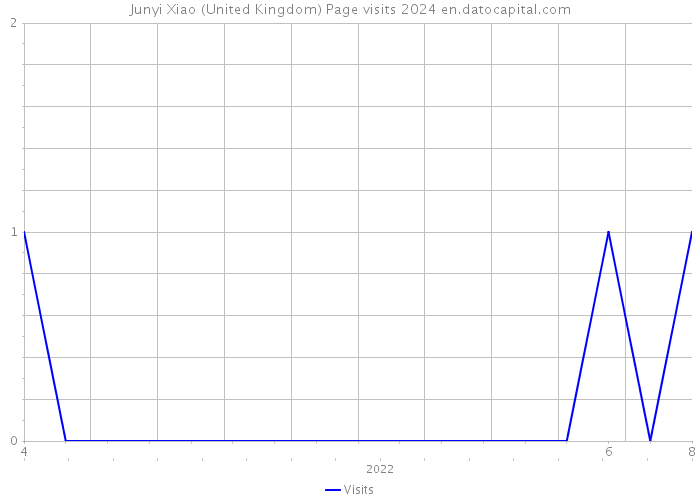 Junyi Xiao (United Kingdom) Page visits 2024 