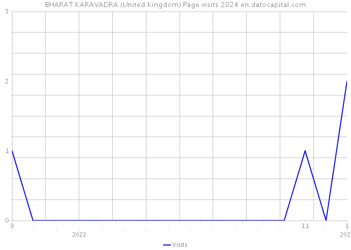 BHARAT KARAVADRA (United Kingdom) Page visits 2024 