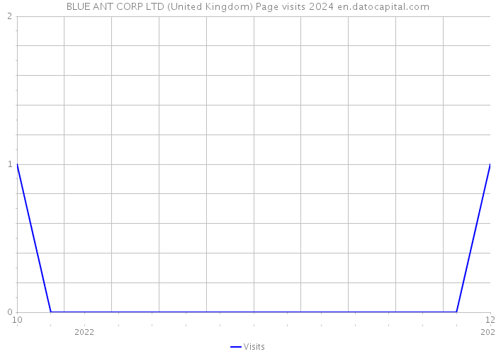 BLUE ANT CORP LTD (United Kingdom) Page visits 2024 